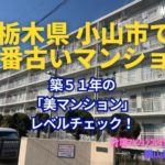 現地調査動画あり！ 栃木県小山市で一番古い分譲マンション築51年の「美マンション」レベルチェック ～毎日ブログ1779日目